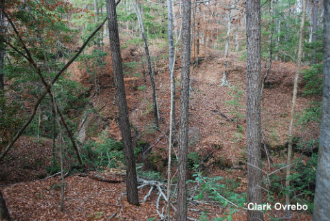 Canyon Rim Woodlands Trail