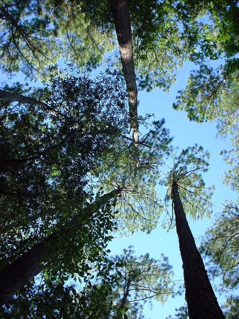 Ratcliff Lake Recreation Area