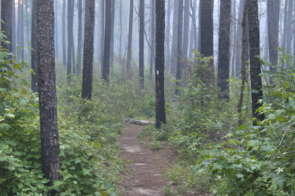 Cagle Recreation Area